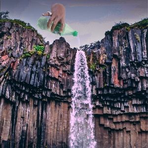 Meet your Posher, Adam